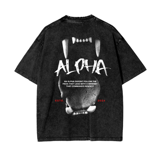 Alpha Acid Washed Graphic T- Shirt